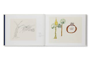 THE BEGINNING OF TREES AND THE END: DRAWINGS AND NOTEBOOKS